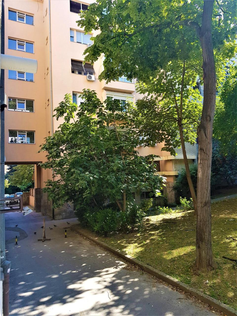 Asya Blue Apartment Belgrade Extérieur photo